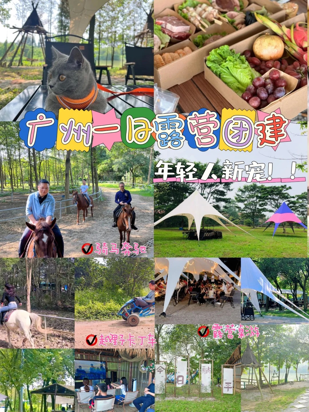 ?佛山团建新选择?｜畅享农家乐一日野趣?